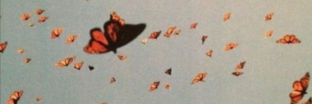 CardozoVillalba's profile banner image