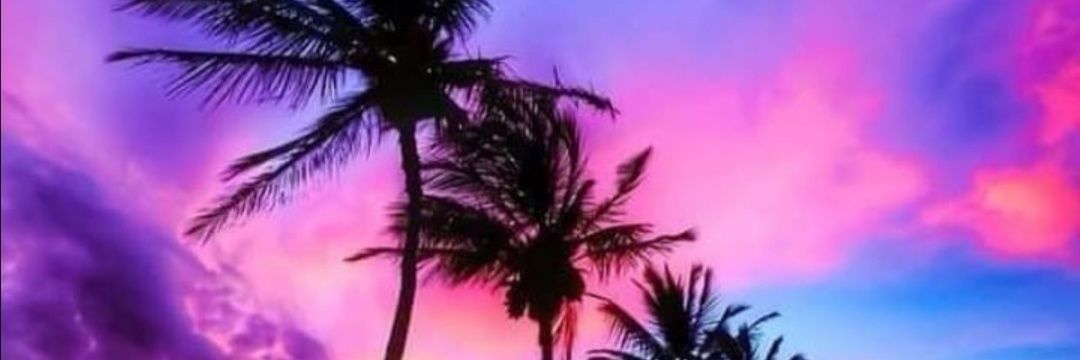 Navarro Duarte banner