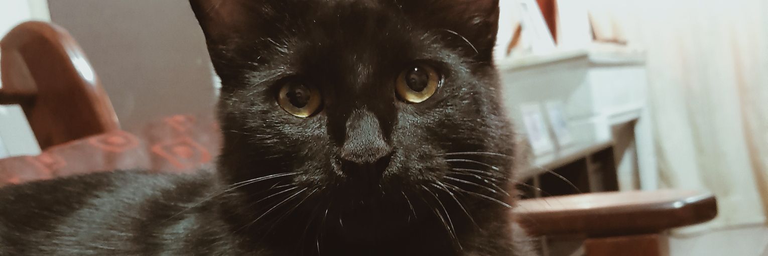 Marlorc44's profile banner image
