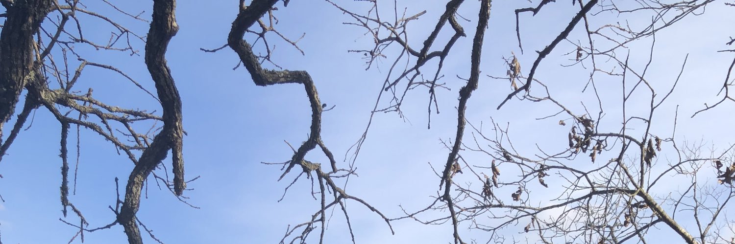 tiborosz's profile banner image