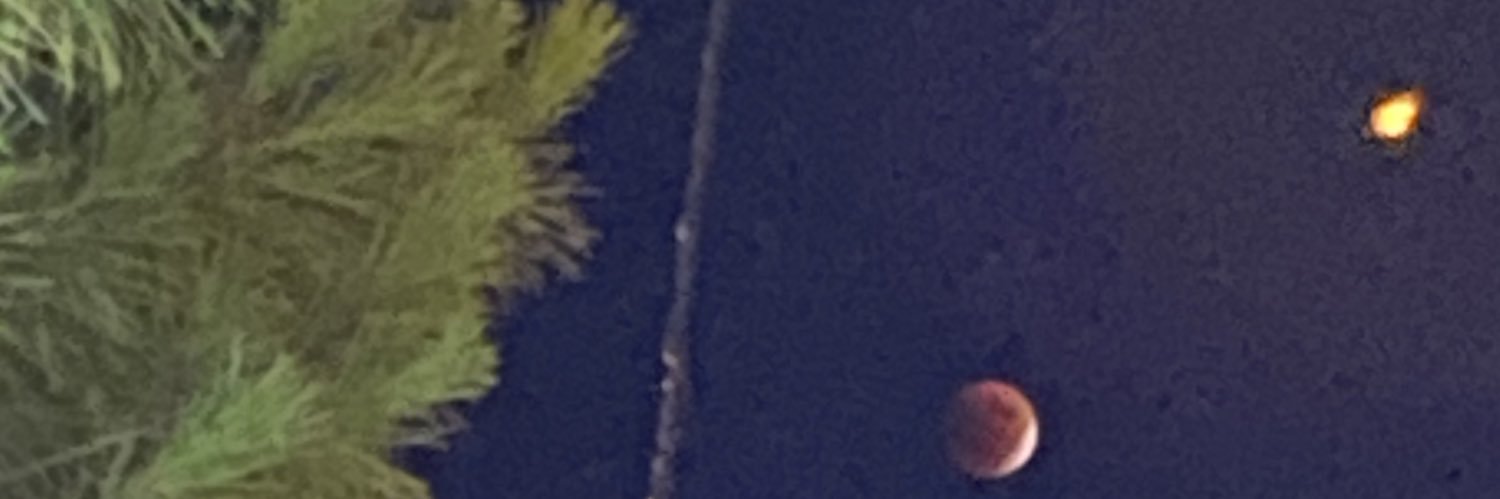 S33_313's profile banner image