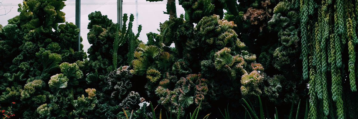 Ellie Harrison banner