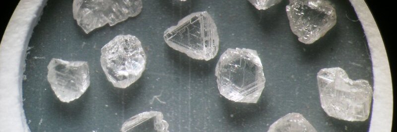 Warren Stanyer banner