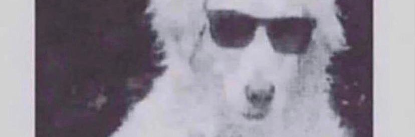 olvrsmth's profile banner image
