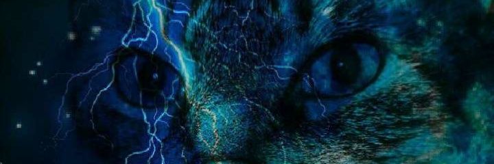austincwill's profile banner image