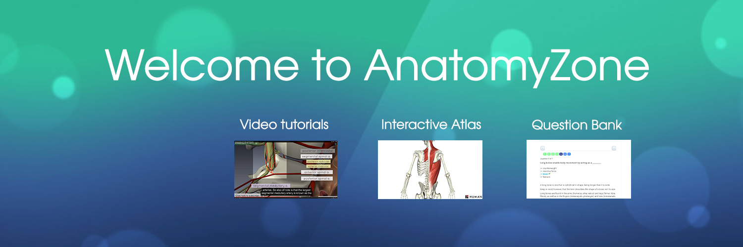 AnatomyZone's profile banner image