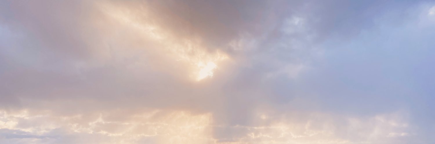 Eli banner