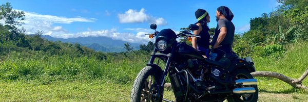 elyafern Profile Banner