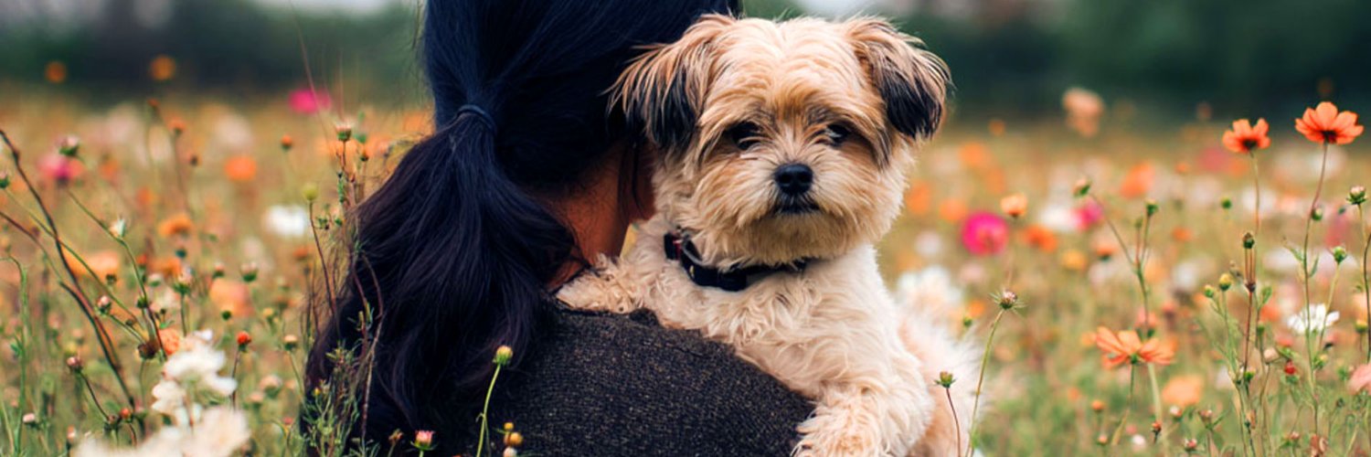 barkmomma's profile banner image