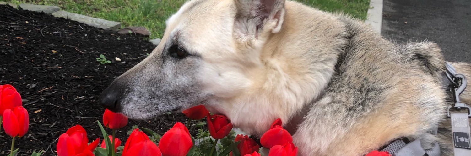 goafer.base.eth ☔️🟣 banner