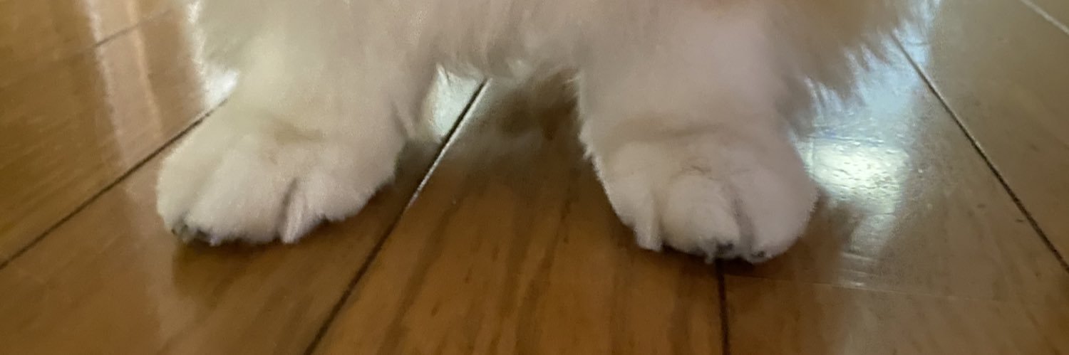 1b_q9's profile banner image