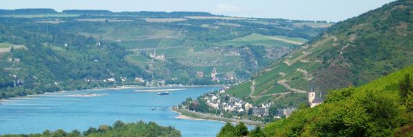 martin_muno Profile Banner