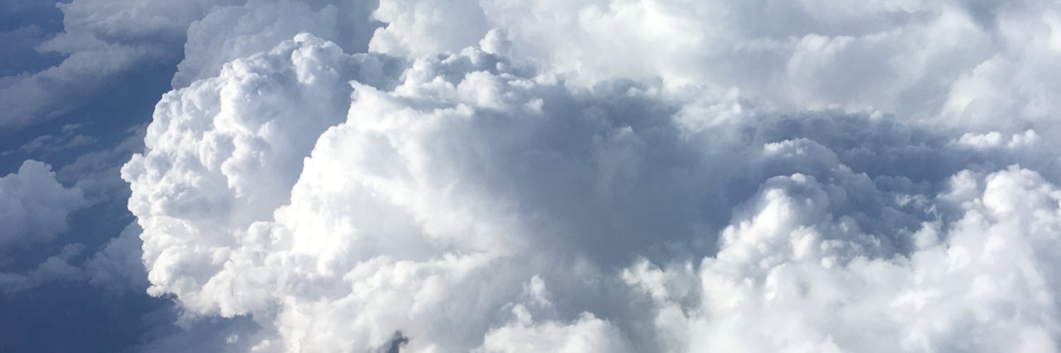 lani_reed's profile banner image