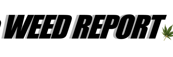 weedreport7's profile banner image