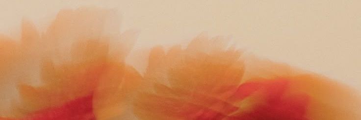 Itzelcoatl's profile banner image