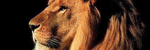 ADouglas392's profile banner image