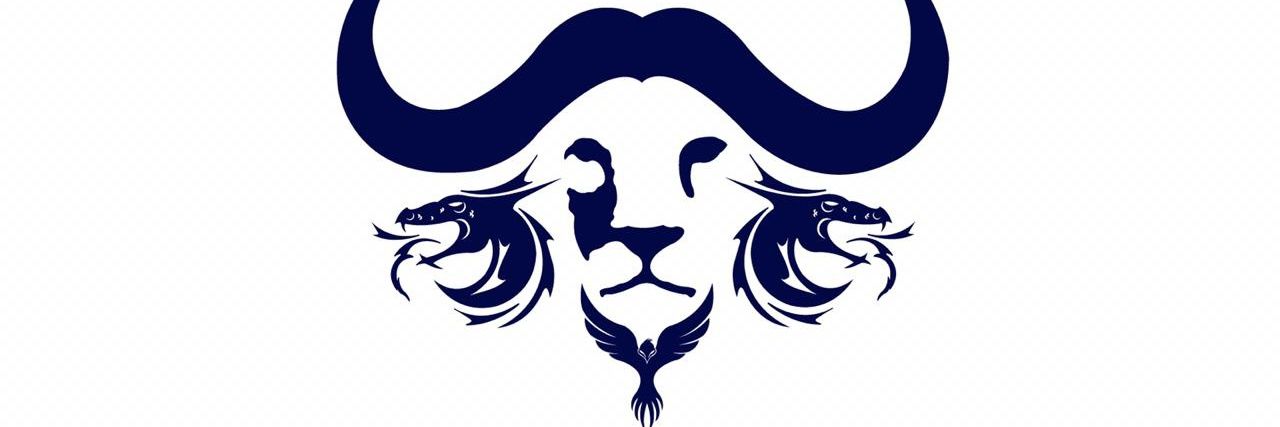 Lesetja R.T. Mogoba banner