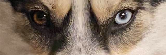jmvickers1's profile banner image