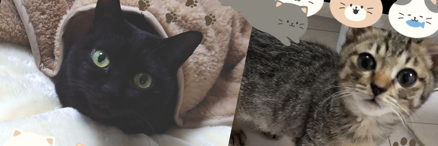 kan778's profile banner image