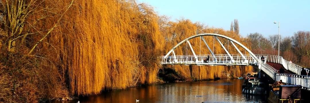 Cambridgeshire Live banner