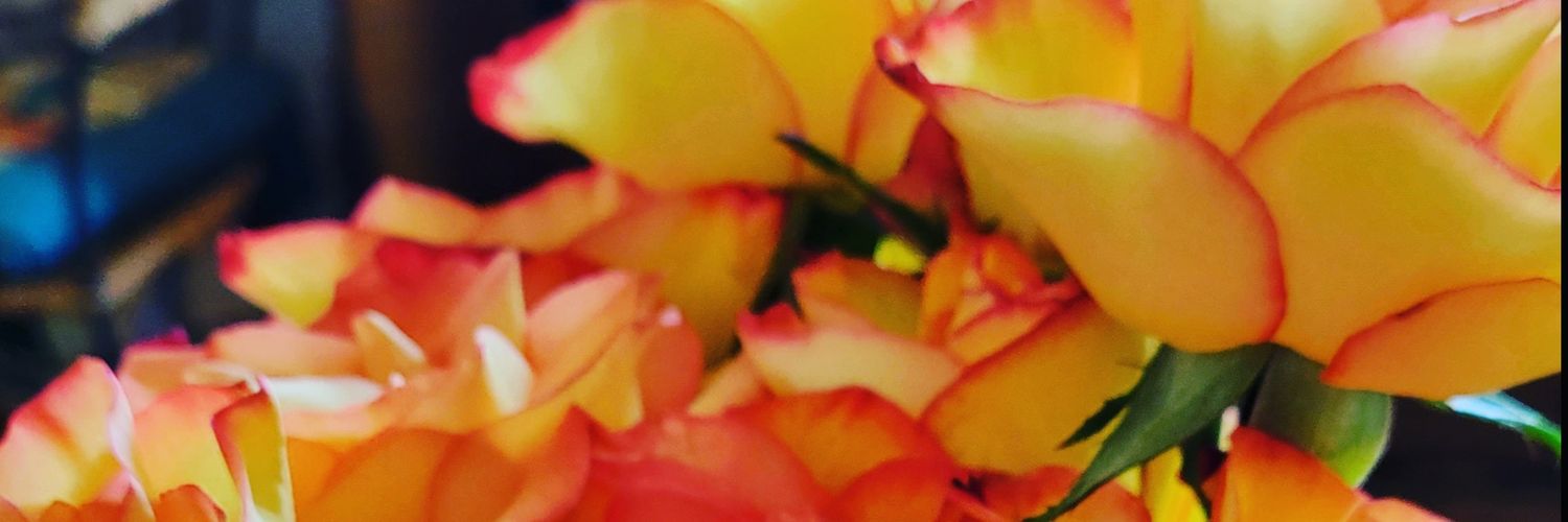 caki1963's profile banner image