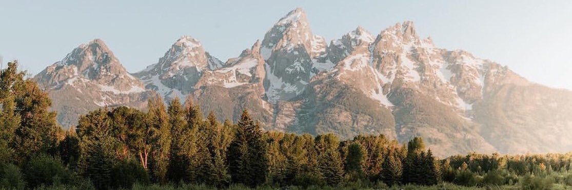 raelynhansen's profile banner image