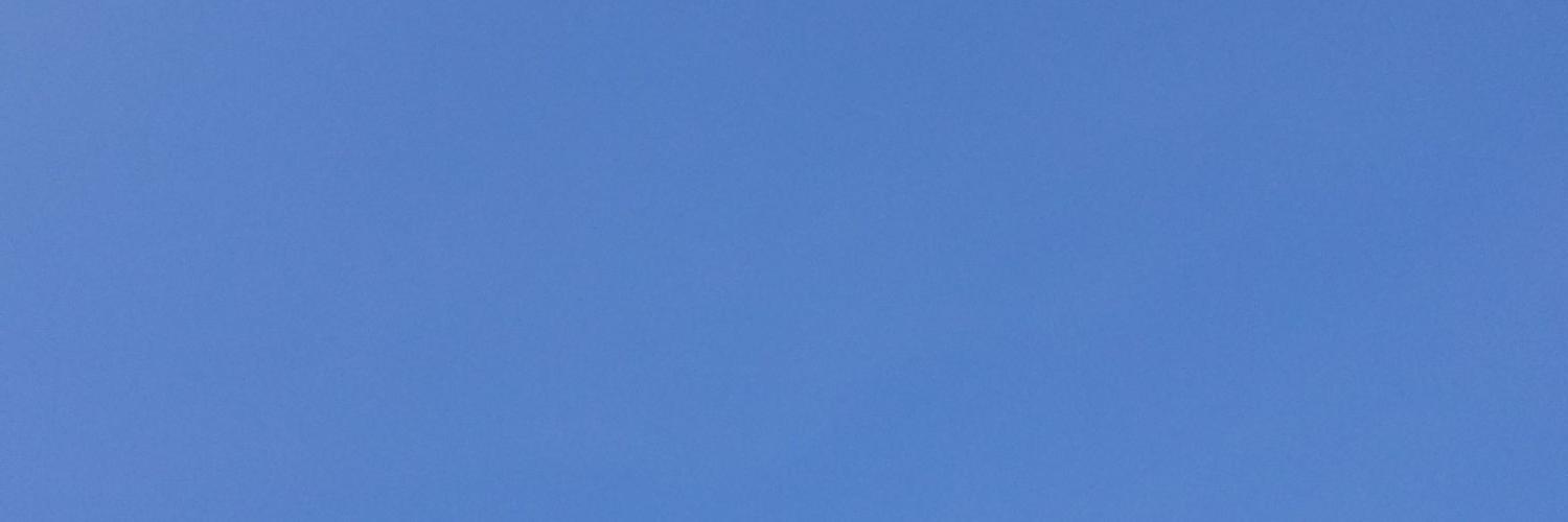 buzzydizzy's profile banner image