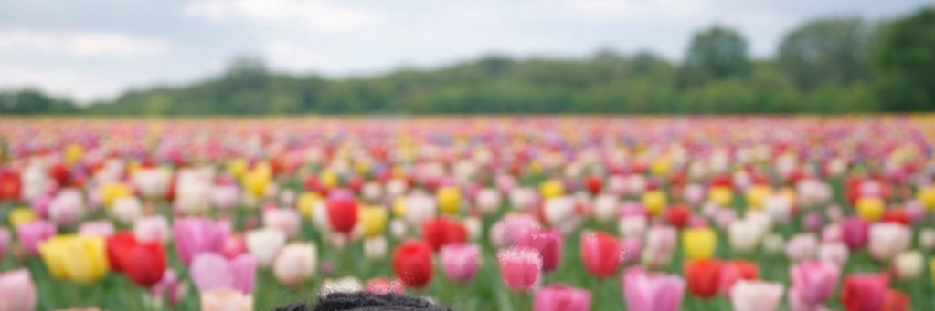 MissMbewu's profile banner image