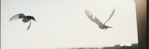 gagab1tch's profile banner image