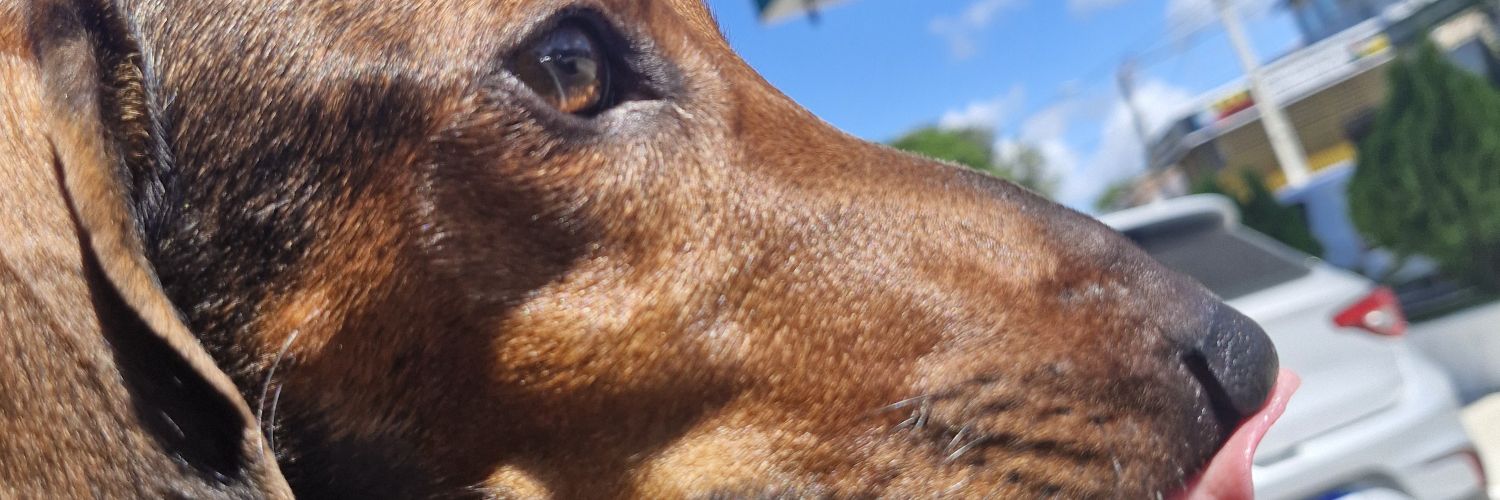 _LucaasSoares's profile banner image