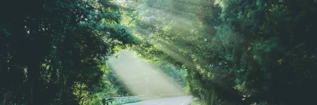 arbor_books_'s profile banner image