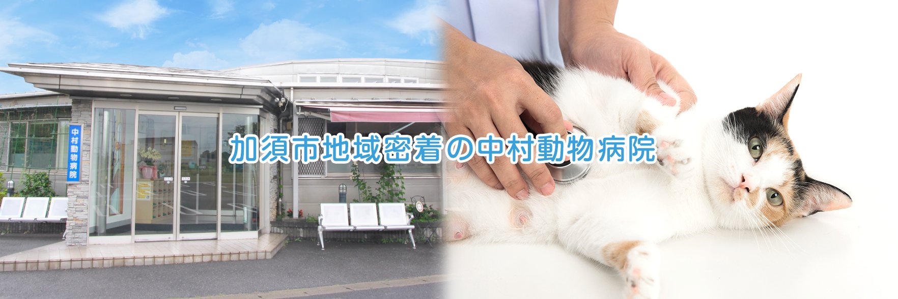 nakavets's profile banner image