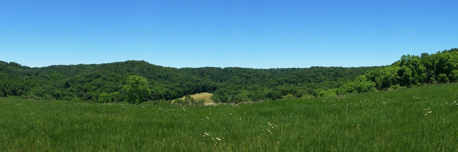 JayChapin's profile banner image