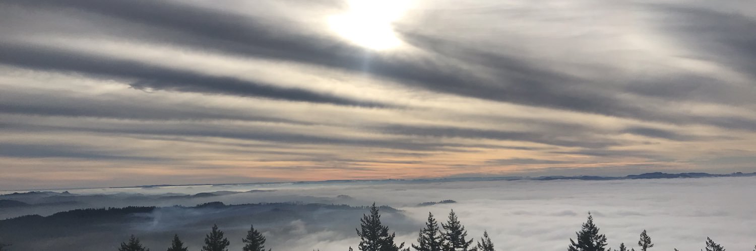 Ben Biddinger banner