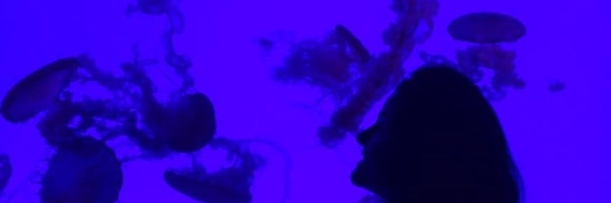 nanymattos's profile banner image