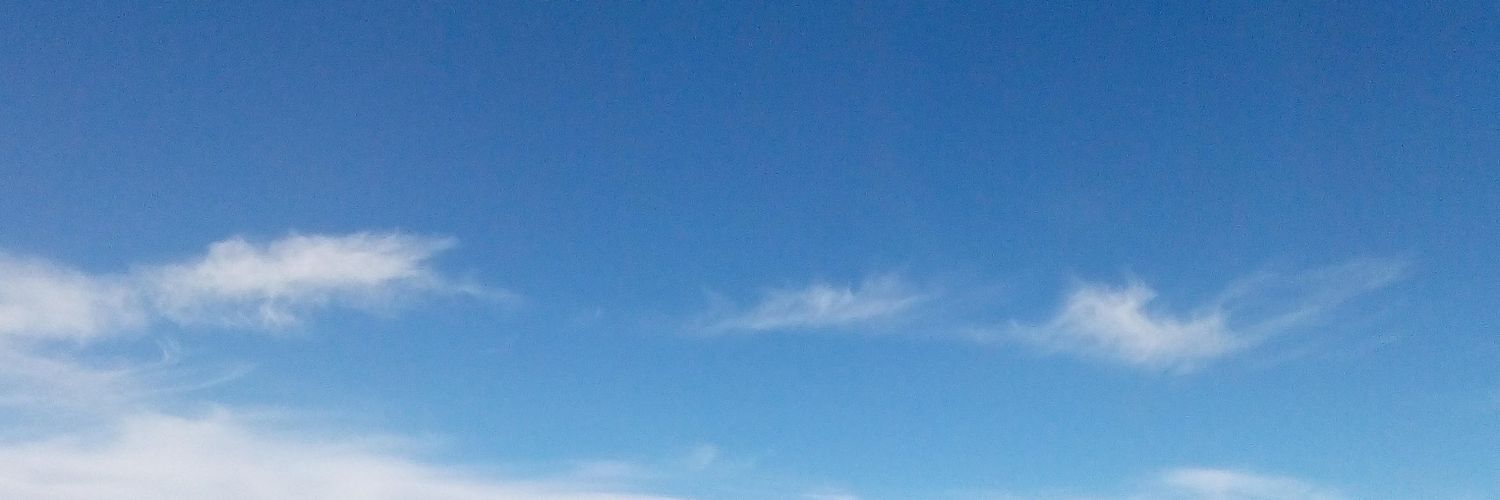 SpringCheonsa's profile banner image