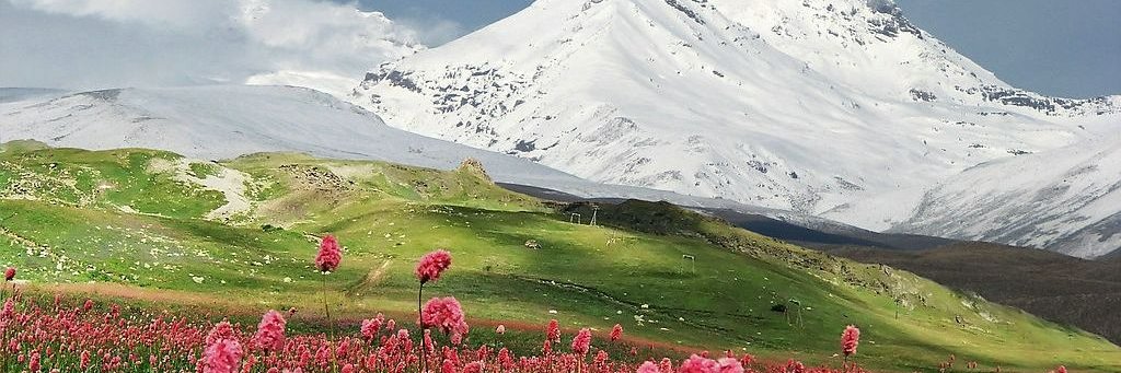 fabianAlfredov2's profile banner image