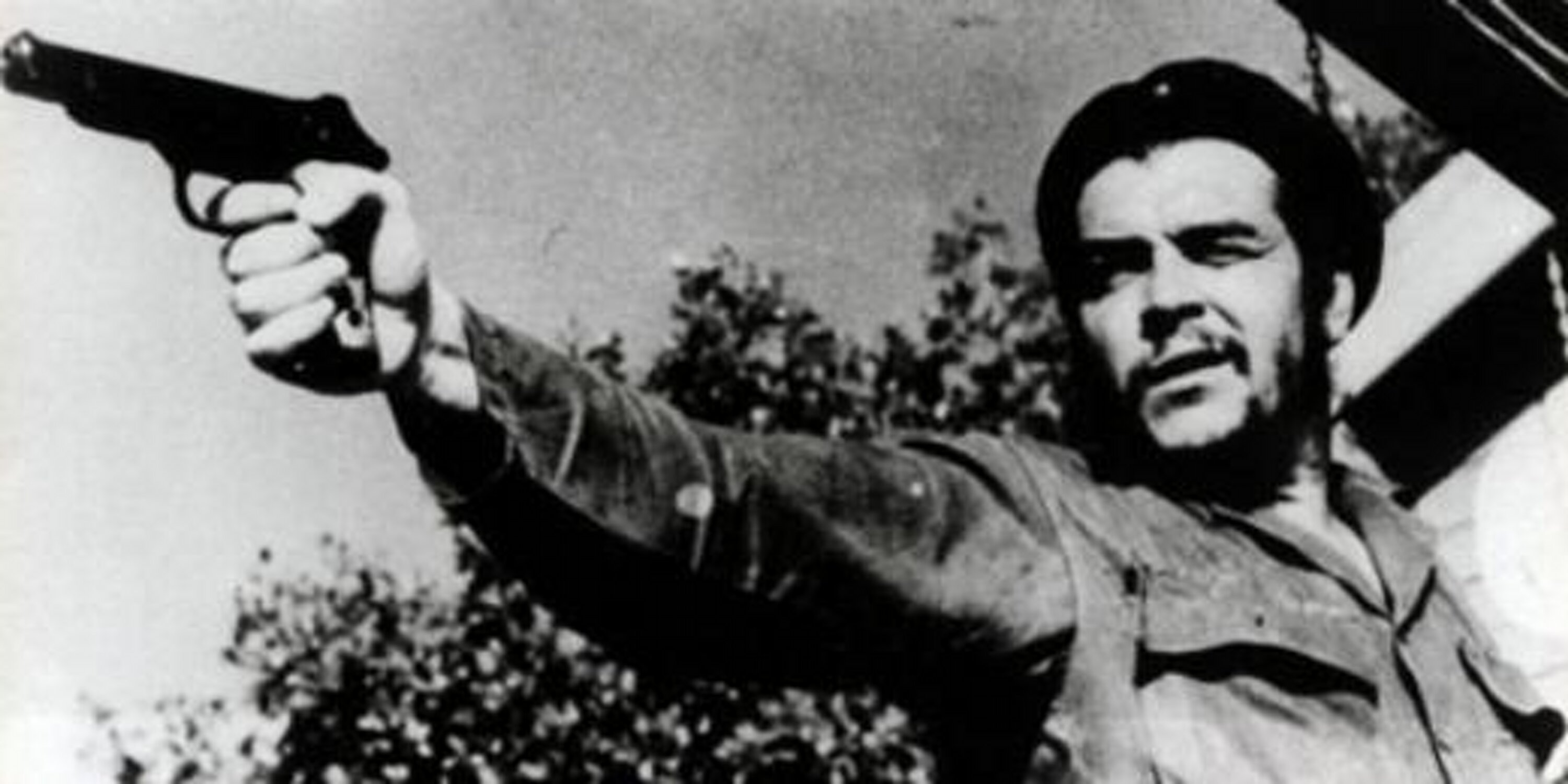 Che Ali banner