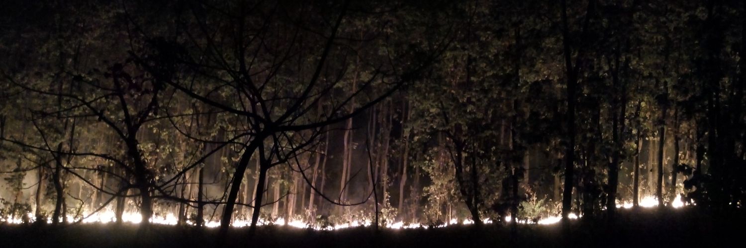 botraulroye's profile banner image