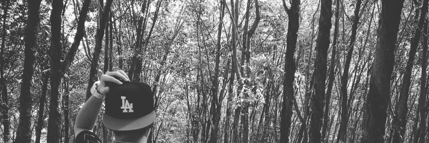 HanMinRetweeter's profile banner image