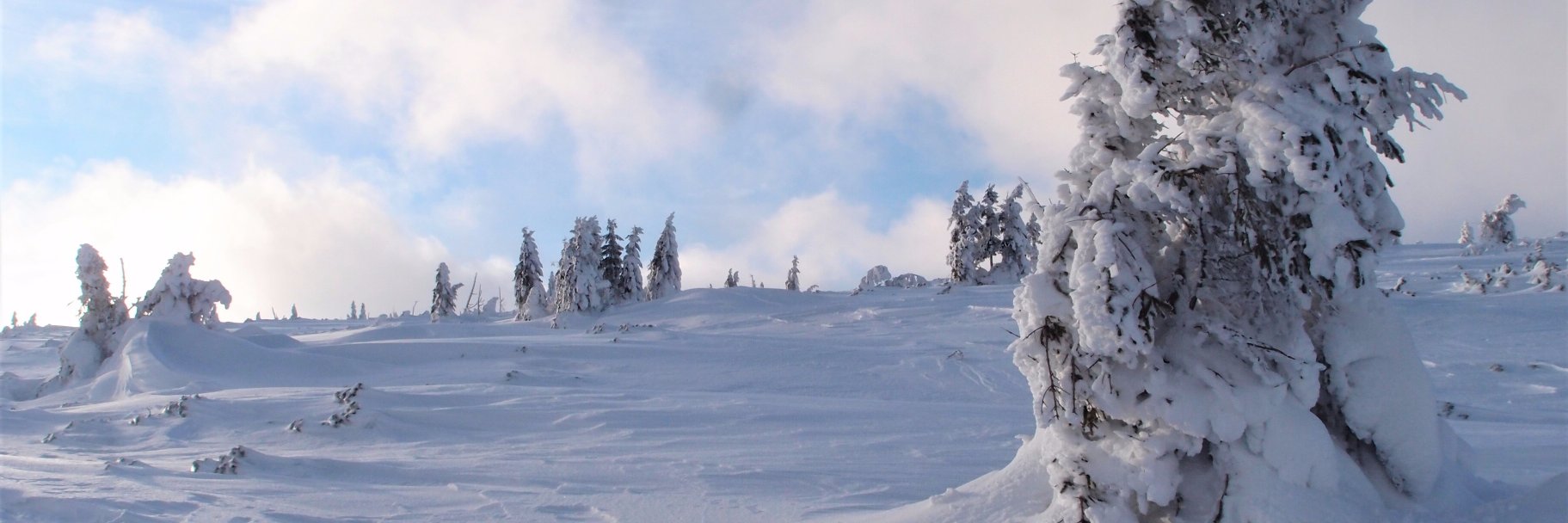 Sunna Kovanen banner