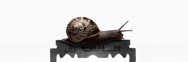 rafalhubert Profile Banner