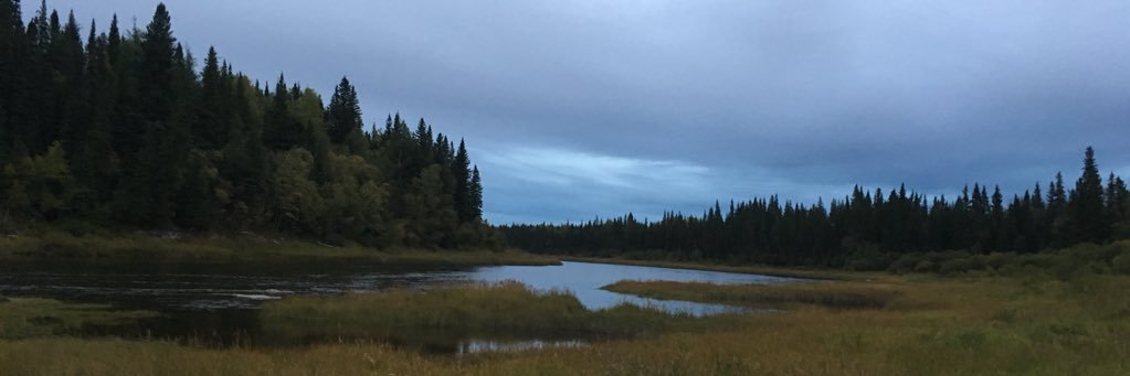 wapacheed78's profile banner image