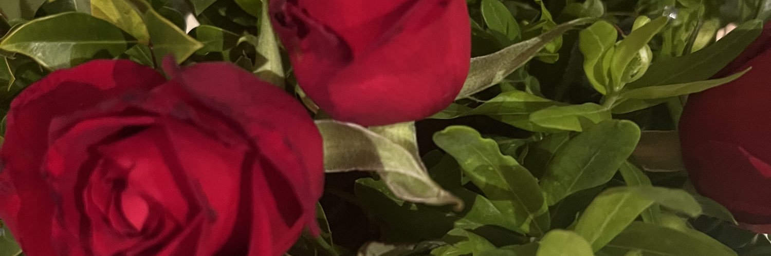 mestrydom's profile banner image