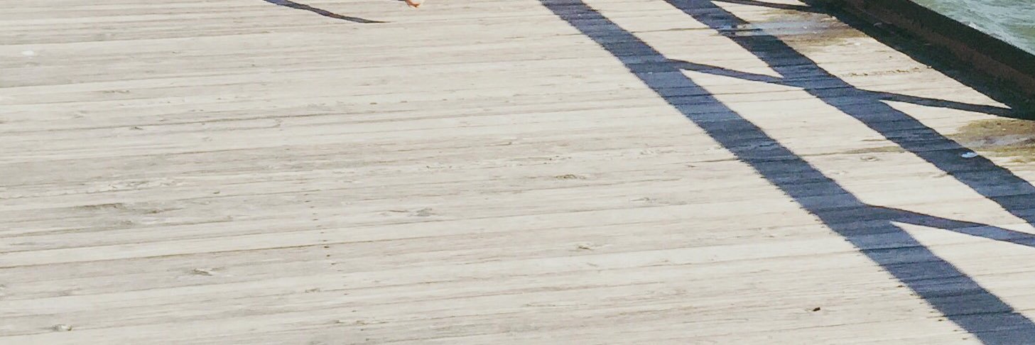 skylarraelyn's profile banner image