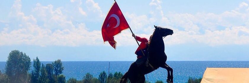 horse_svs's profile banner image