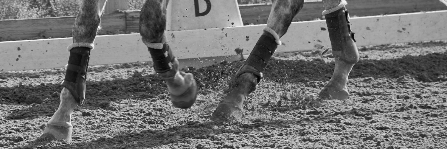 Sarah Beaudoin banner