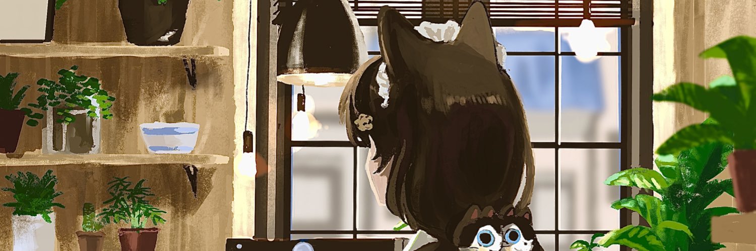 N26knV's profile banner image