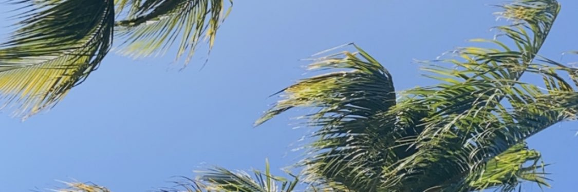 aletersignii's profile banner image