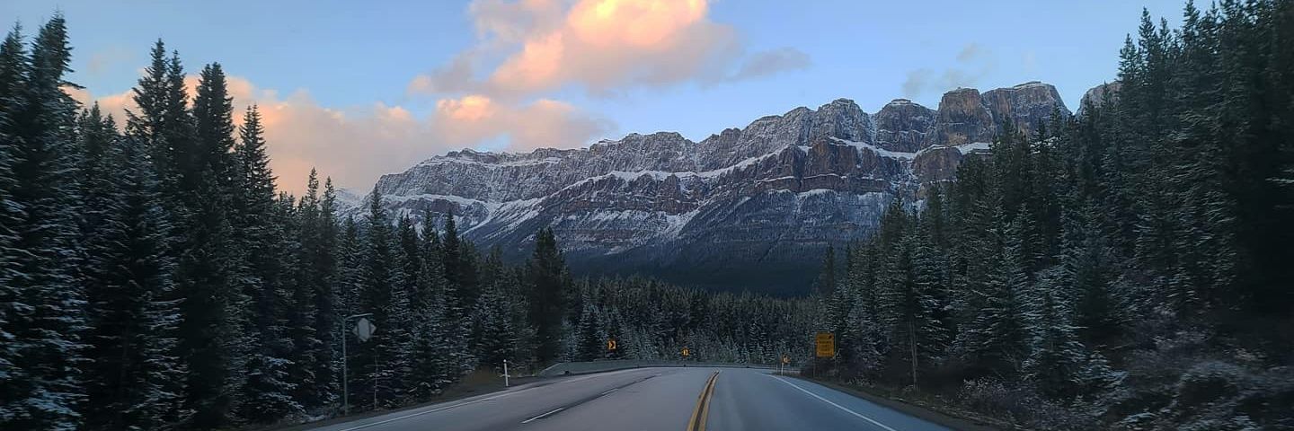 John MacKinnon banner